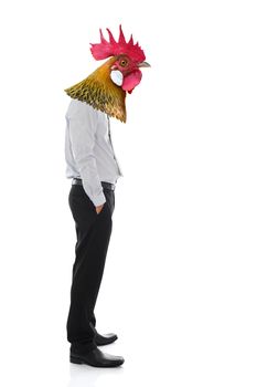 Business man with chicken head, isolated on white background.