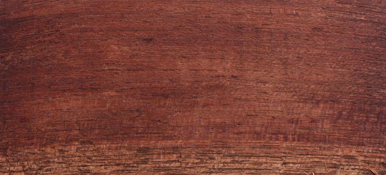 Wood background - Wood from the tropical rainforest - Suriname - Epurua Falcata