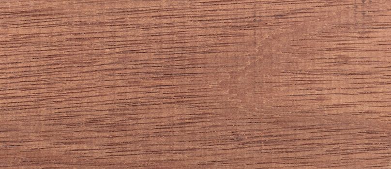 Wood background - Wood from the tropical rainforest - Suriname - Dycorynia guianensis Amsh