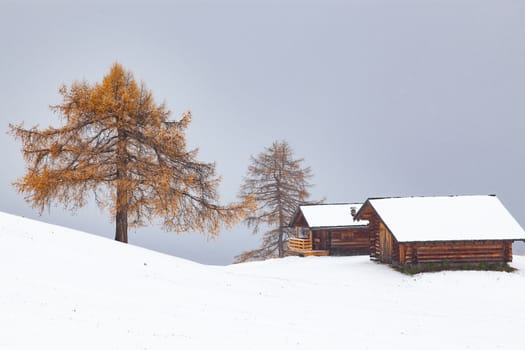 snowy early winter landscape in Alpe di Siusi.  Dolomites,  Italy - winter holidays destination 