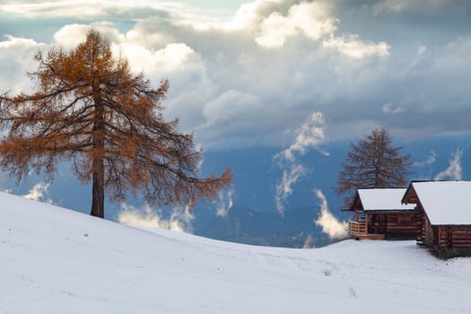 snowy early winter landscape in Alpe di Siusi.  Dolomites,  Italy - winter holidays destination 