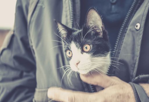 man holding cute little cat under winter coat