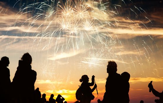 crowd of people watching fireworks