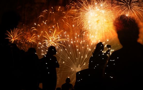 crowd of people watching fireworks