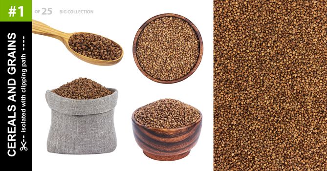 Buckwheat seeds in different dishware isolated on white background, buckwheat grains in bowl, spoon and bag, collection