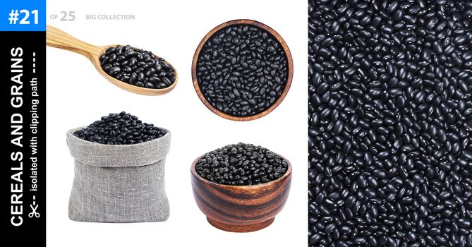 Black beans in different dishware isolated on white background, collection, black bean in bowl, spoon and bag, collection