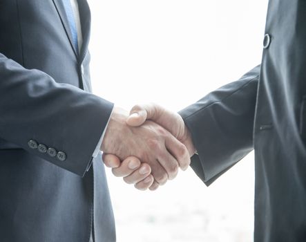 Two businessmen shaking hands standing by windows in office