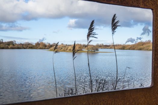 view from a viewpoint at the brede water with a pond, water plants small islands and the smoke from the europoort industry at the background