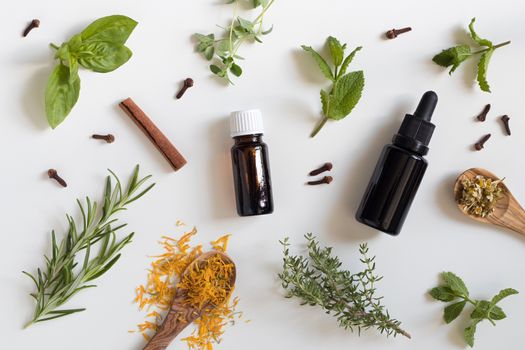 Two bottles of essential oil with a selection of herbs on a white background - peppermint, basil, thyme, rosemary, cinnamon, clove, oregano, chamomile, calendula