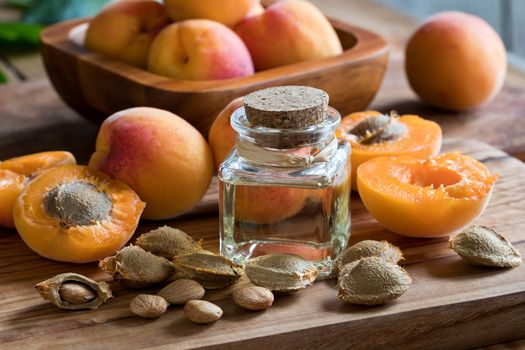 A bottle of apricot kernel oil with apricot kernels and ripe apricots on a wooden background
