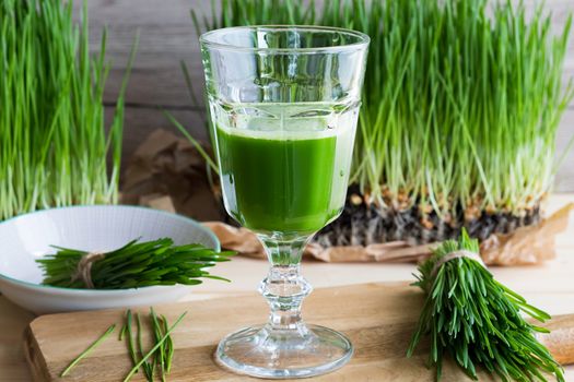 A glass of wheatgrass juice with freshly harvested wheatgrass on a wooden table