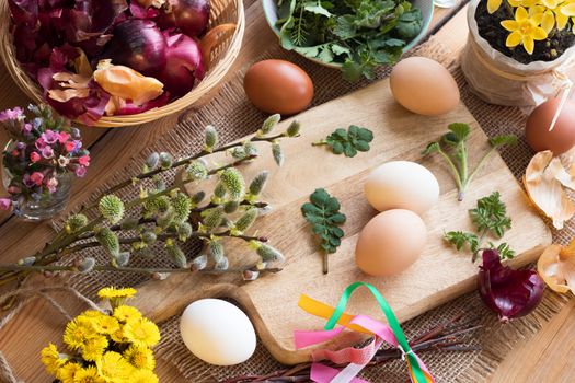 Preparation of Easter eggs for dying with onion peels: eggs, onion peels, fresh herbs, spring flowers in the background (coltsfoot, lungwort, willow catkins, crocuses)