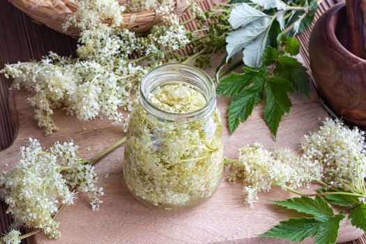 A jar filled with meadowsweet blossoms and alcohol, to prepare homemade tincture