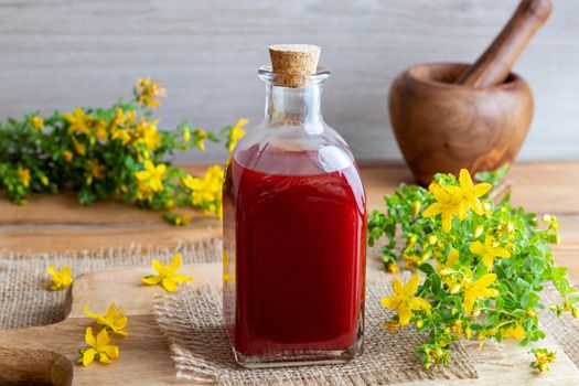 A bottle of red oil made from fresh St. John's wort flowers