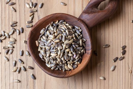 Milk thistle seeds on a wooden spoon, top view