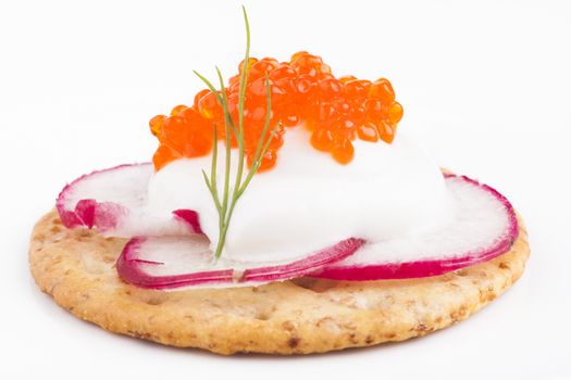 Red caviar on white chees  apetiser on white background