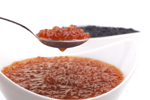 Red and Black caviar beads in white bowls and silver spoons isolated on white background