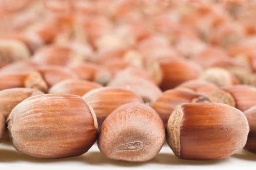 brown hezelnut pile focus on first row