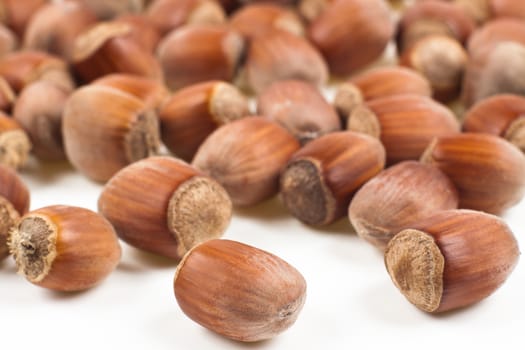 hazelnuts close-up isolated on white background