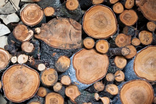 firewood pile closeup round cuted wood logs