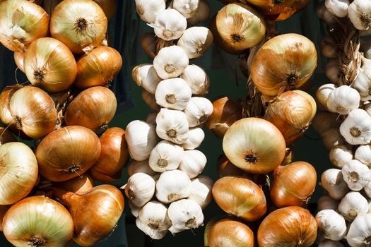 dry onion and garlic hanging twisted on a rural scene