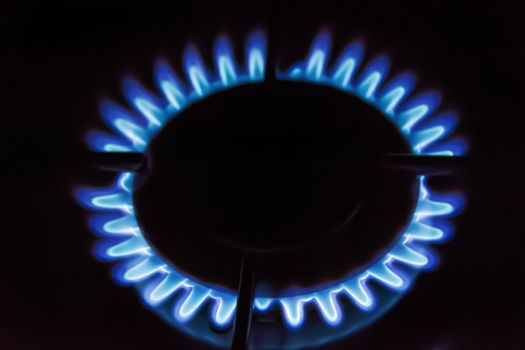 Gas burning on the stove. Blue flame of gas on a dark background