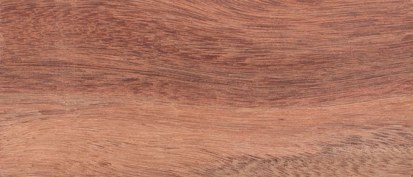 Wood background - Wood from the tropical rainforest - Suriname - Moraexcelsa Benth