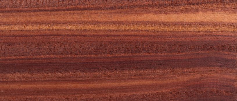 Wood background - Wood from the tropical rainforest - Suriname - Brosimum paraense