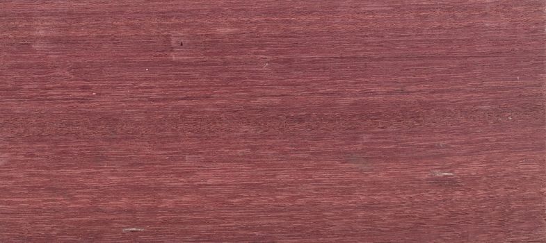 Wood background - Wood from the tropical rainforest - Suriname - Peltogyne pubenscens Benih