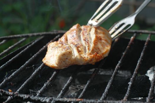 barbeque meat on the grill with green background