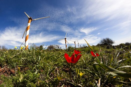 orange wind turbine with red flowers and blue sky