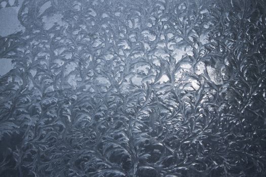 ice floral pattern on window in a cold winter day