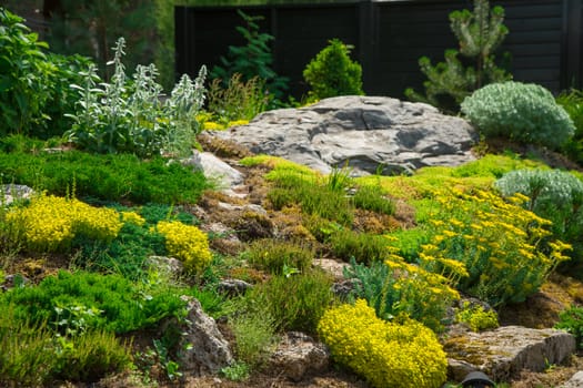 fine green plants around stones. Landscape. Background.