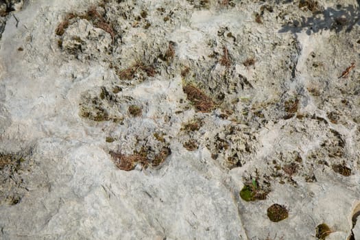 Structure of surface of the stone, used as background. Stone texture. Natural rocks