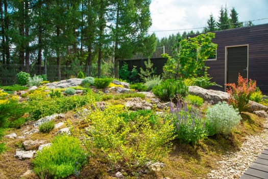 fine green plants around stones. Landscape. Background.