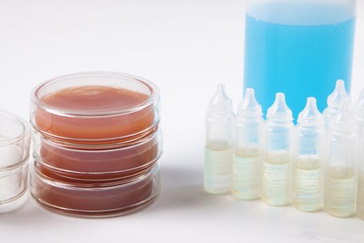 petri dish with blood samples in white laboratory with more bottles 