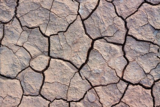dri desert land with cracks all over