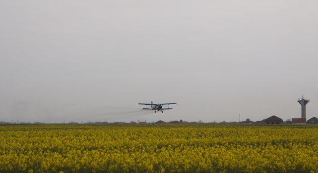 drowing painted style airplane in yellow field with houses in the background