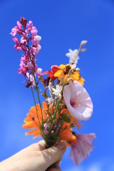 A woman hand holding a bucket of wild flowers and herbs collected on the top of a mountain, wooden background, wild nature postcard