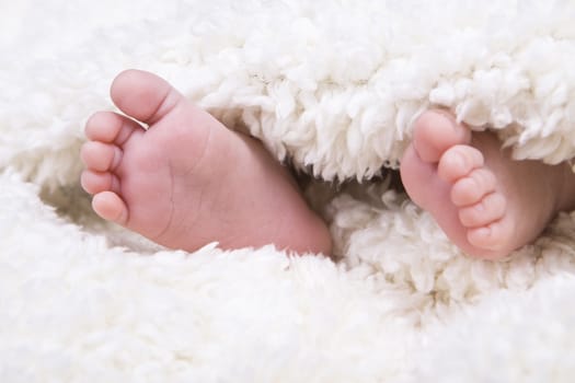 a pair of baby newborn feet in a soft white blanket