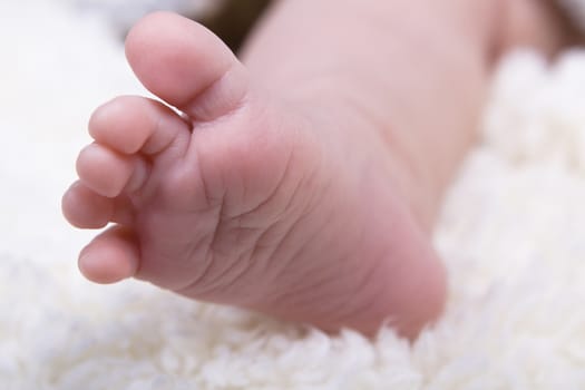 one newborn foot closeup on white  slective focus