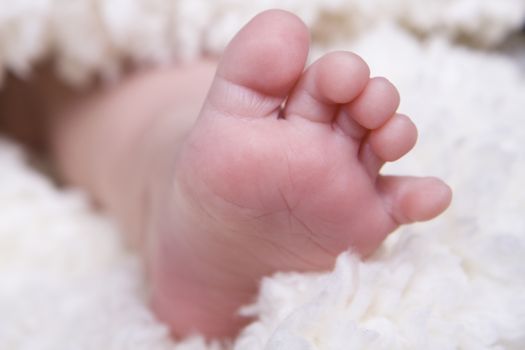 single small newborn baby foot on soft blancket 