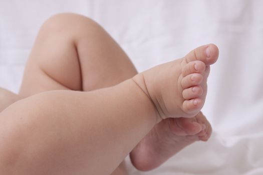 baby feet and toes on white backround 
