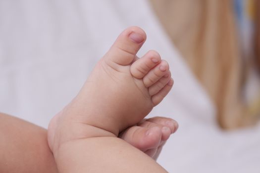 baby feet front view on white background