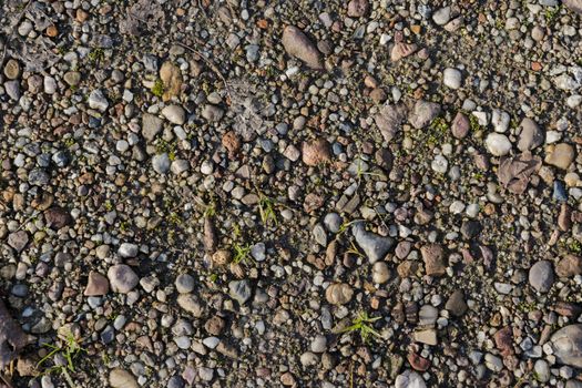 Small pebbles close up photo. Natural stone background.
