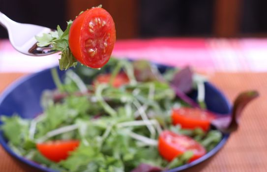 freah green salad with cherry tomatos