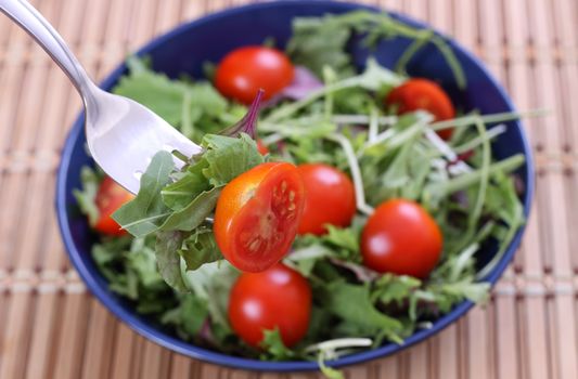 freah green salad in a bowl