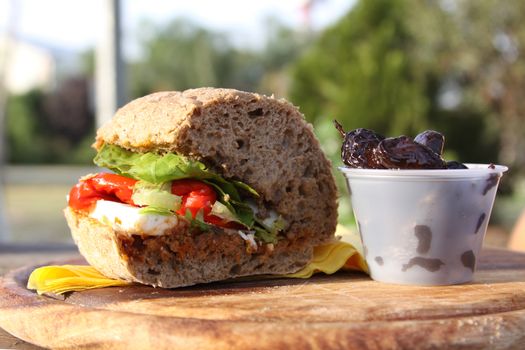 healthy sandwich outdoor eating