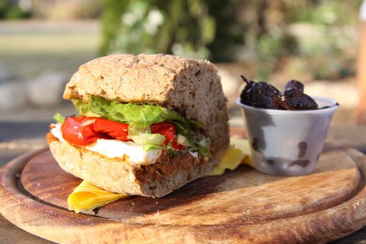 healthy sandwich outdoor eating
