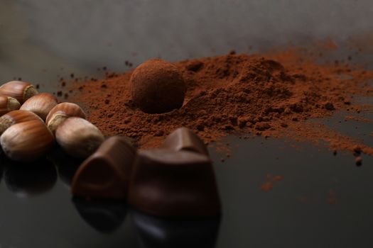 hazelnut cacao chocolate making